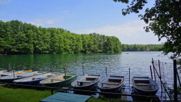 The Columbist: Berlin’s lifestyle magazine