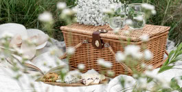 The Columbist: Berlin’s lifestyle magazine