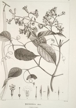 The Columbist: Berlin’s lifestyle magazine