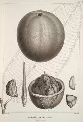 The Columbist: Berlin’s lifestyle magazine