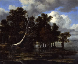 The Columbist: Berlin’s lifestyle magazine