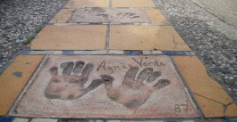 The Columbist: Berlin’s lifestyle magazine