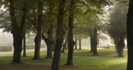 The Columbist: Berlin’s lifestyle magazine