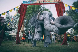 The Columbist: Berlin’s lifestyle magazine