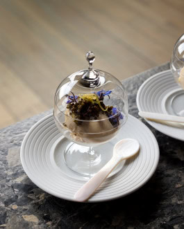 The Columbist: Berlin’s lifestyle magazine