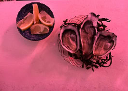 The Columbist: Berlin’s lifestyle magazine