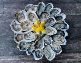 The Columbist: Berlin’s lifestyle magazine