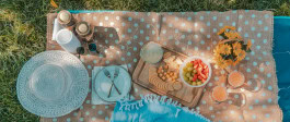 picnic on the grass, food and cutlery laid out on a blanket 
