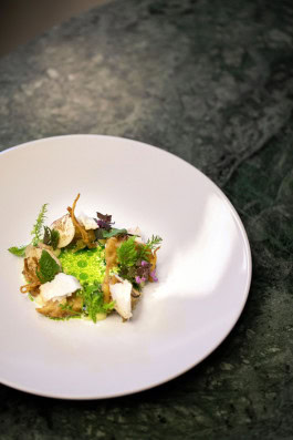 The Columbist: Berlin’s lifestyle magazine