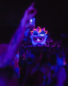 Crowd at the musical performance at the Whole festival Berlin