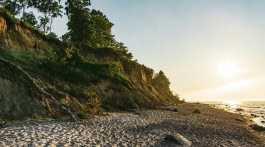 The Columbist: Berlin’s lifestyle magazine