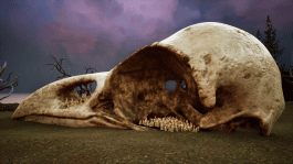 The Columbist: Berlin’s lifestyle magazine