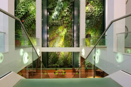 Origin in the Dussmann Haus