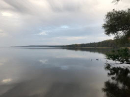 Photo of the lake in Auszeit TollenseseeĐĽ