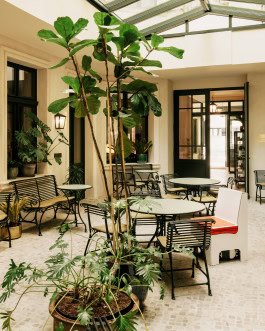 Château Royal Winter garden, interior with benches, tables and potted flowers