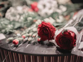 The Columbist: Berlin’s lifestyle magazine