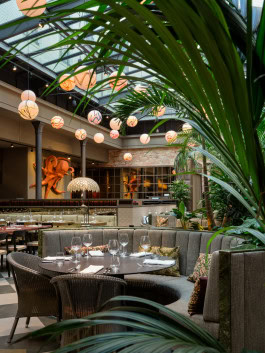 The Columbist: Berlin’s lifestyle magazine