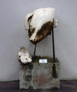 The Columbist: Berlin’s lifestyle magazine