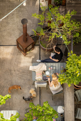 The Columbist: Berlin’s lifestyle magazine