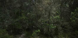 The Columbist: Berlin’s lifestyle magazine