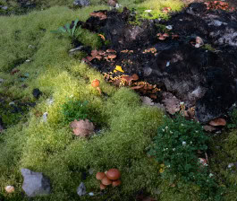 The Columbist: Berlin’s lifestyle magazine