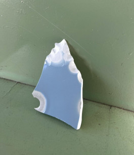 The Columbist: Berlin’s lifestyle magazine