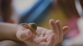 The Columbist: Berlin’s lifestyle magazine