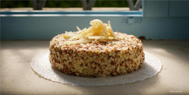 The Columbist: Berlin’s lifestyle magazine