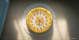 The Columbist: Berlin’s lifestyle magazine