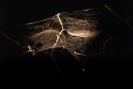 The Columbist: Berlin’s lifestyle magazine