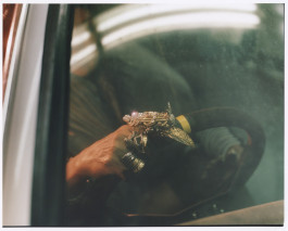 The Columbist: Berlin’s lifestyle magazine