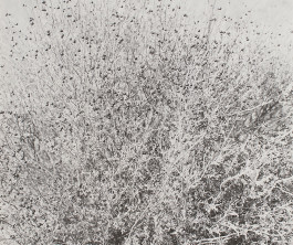 The Columbist: Berlin’s lifestyle magazine