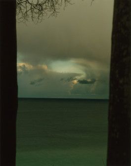 The Columbist: Berlin’s lifestyle magazine