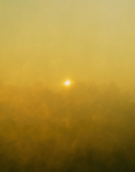 The Columbist: Berlin’s lifestyle magazine