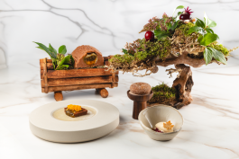 The Columbist: Berlin’s lifestyle magazine