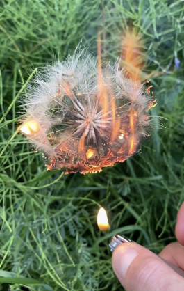 The Columbist: Berlin’s lifestyle magazine