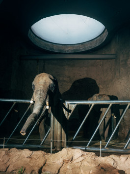 The Columbist: Berlin’s lifestyle magazine