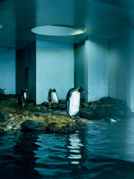 The Columbist: Berlin’s lifestyle magazine