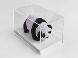 The Columbist: Berlin’s lifestyle magazine