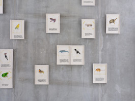 The Columbist: Berlin’s lifestyle magazine