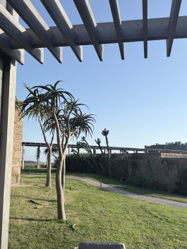 The Columbist: Berlin’s lifestyle magazine