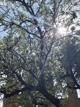 The Columbist: Berlin’s lifestyle magazine