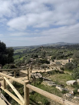 The Columbist: Berlin’s lifestyle magazine