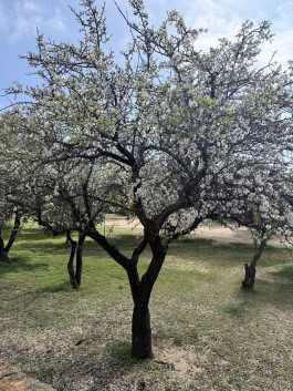 The Columbist: Berlin’s lifestyle magazine