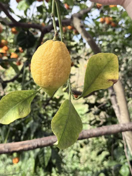 The Columbist: Berlin’s lifestyle magazine