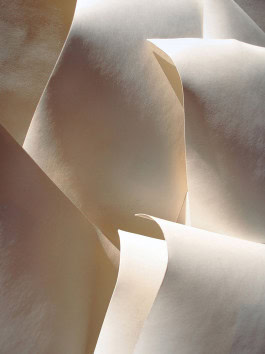 The Columbist: Berlin’s lifestyle magazine