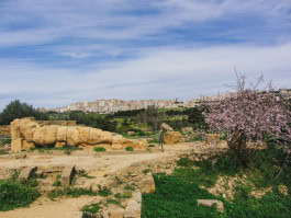 The Columbist: Berlin’s lifestyle magazine