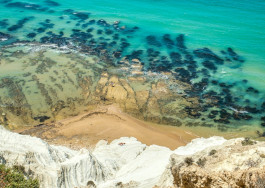 The Columbist: Berlin’s lifestyle magazine