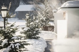 The Columbist: Berlin’s lifestyle magazine