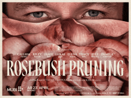 The Columbist: Berlin’s lifestyle magazine